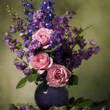 无限短信网页在线轰炸